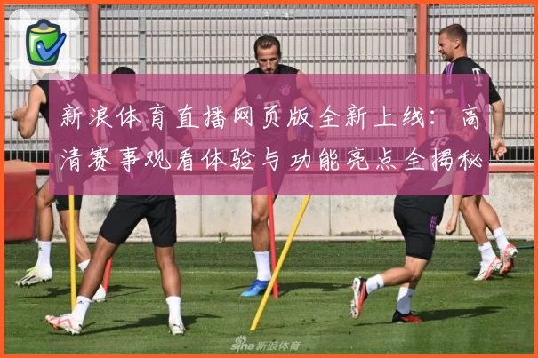 新浪体育直播网页版全新上线：高清赛事观看体验与功能亮点全揭秘