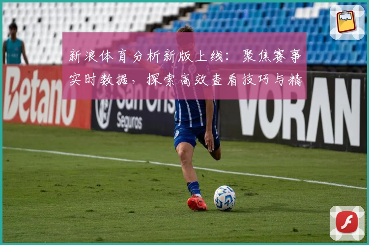 新浪体育分析新版上线：聚焦赛事实时数据，探索高效查看技巧与精彩内容