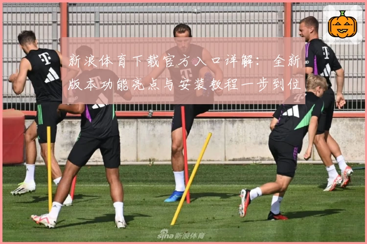 新浪体育下载官方入口详解：全新版本功能亮点与安装教程一步到位