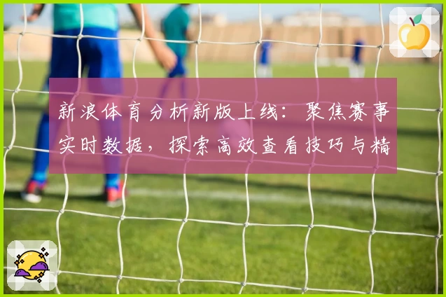 新浪体育分析新版上线：聚焦赛事实时数据，探索高效查看技巧与精彩内容