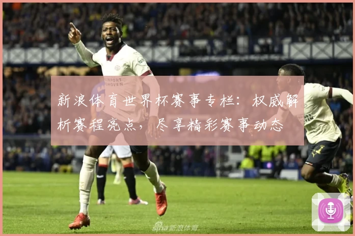 新浪体育世界杯赛事专栏：权威解析赛程亮点，尽享精彩赛事动态