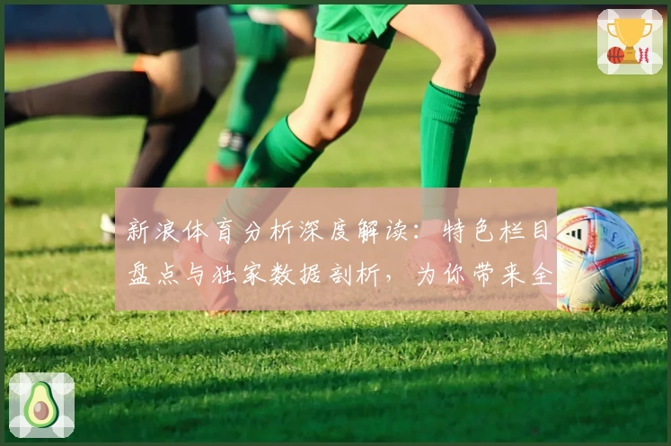 新浪体育分析深度解读：特色栏目盘点与独家数据剖析，为你带来全新看球体验