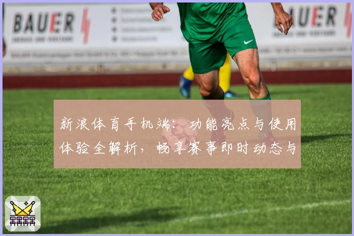 新浪体育手机端：功能亮点与使用体验全解析，畅享赛事即时动态与专业数据分析