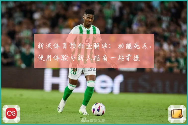新浪体育预测全解读：功能亮点、使用体验与新人指南一站掌握