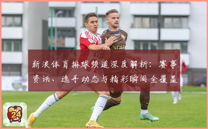 新浪体育排球频道深度解析：赛事资讯、选手动态与精彩瞬间全覆盖