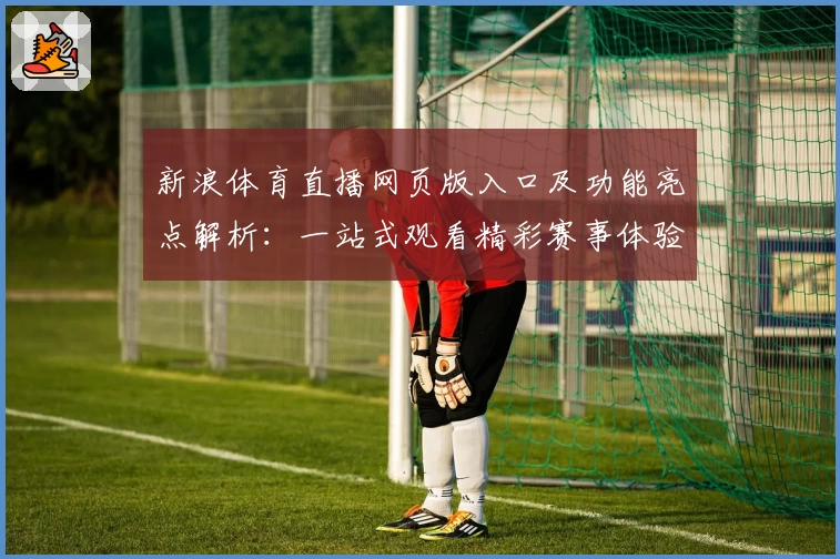 新浪体育直播网页版入口及功能亮点解析：一站式观看精彩赛事体验