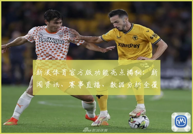 新浪体育官方版功能亮点揭秘:新闻资讯、赛事直播、数据分析全覆盖