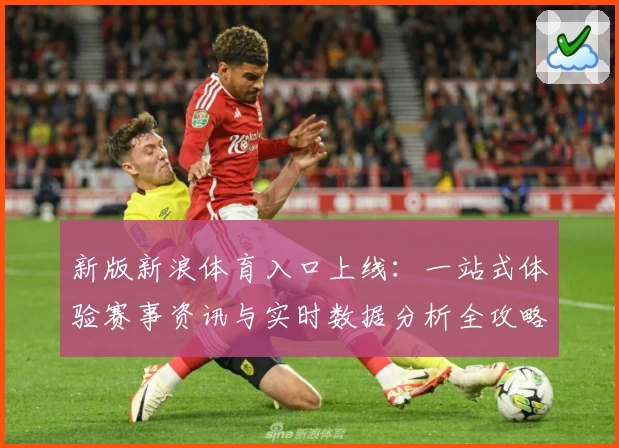新版新浪体育入口上线：一站式体验赛事资讯与实时数据分析全攻略