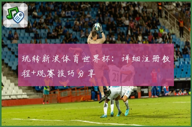 玩转新浪体育世界杯：详细注册教程+观赛技巧分享